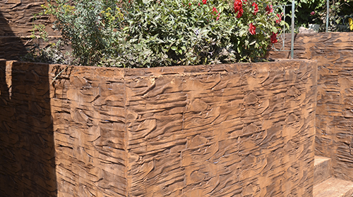Muro de hormigón con planta encima
